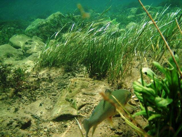 Una Canyon Paradise Bihać Eksteriør billede