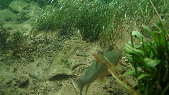 Una Canyon Paradise Bihać Eksteriør billede
